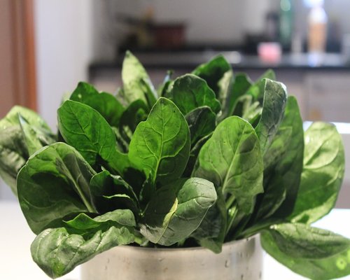 fresh green spinach leafy vegetables